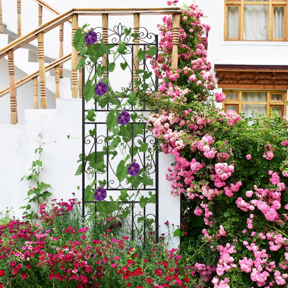 6 Panel Garden Border Trellis for Climbing Plants_1