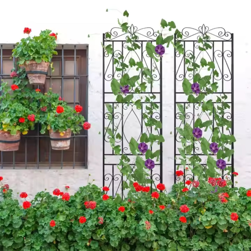 6 Panel Garden Border Trellis for Climbing Plants_2